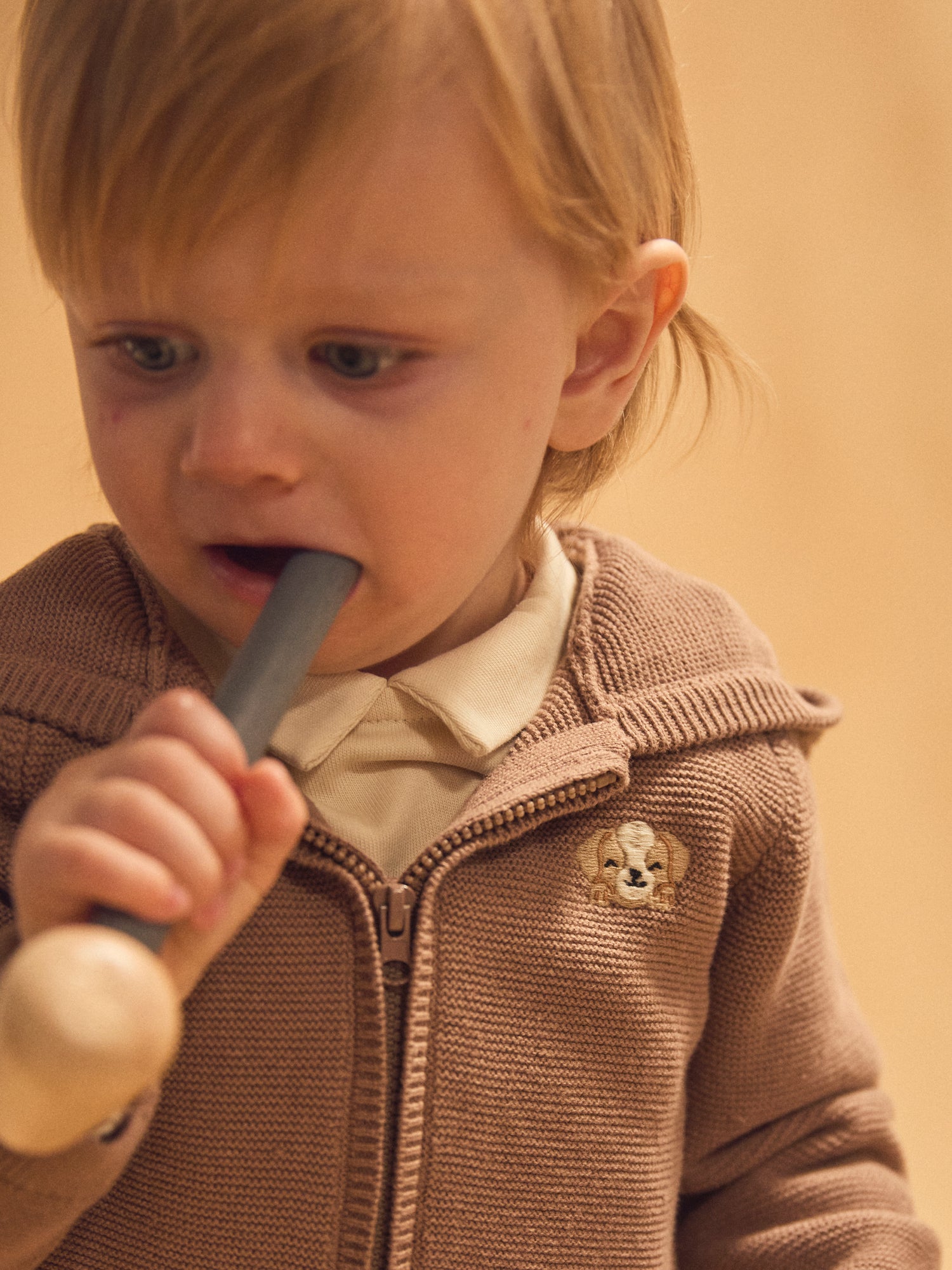 Gilet à capuche marron en tricot Bébé Garçon