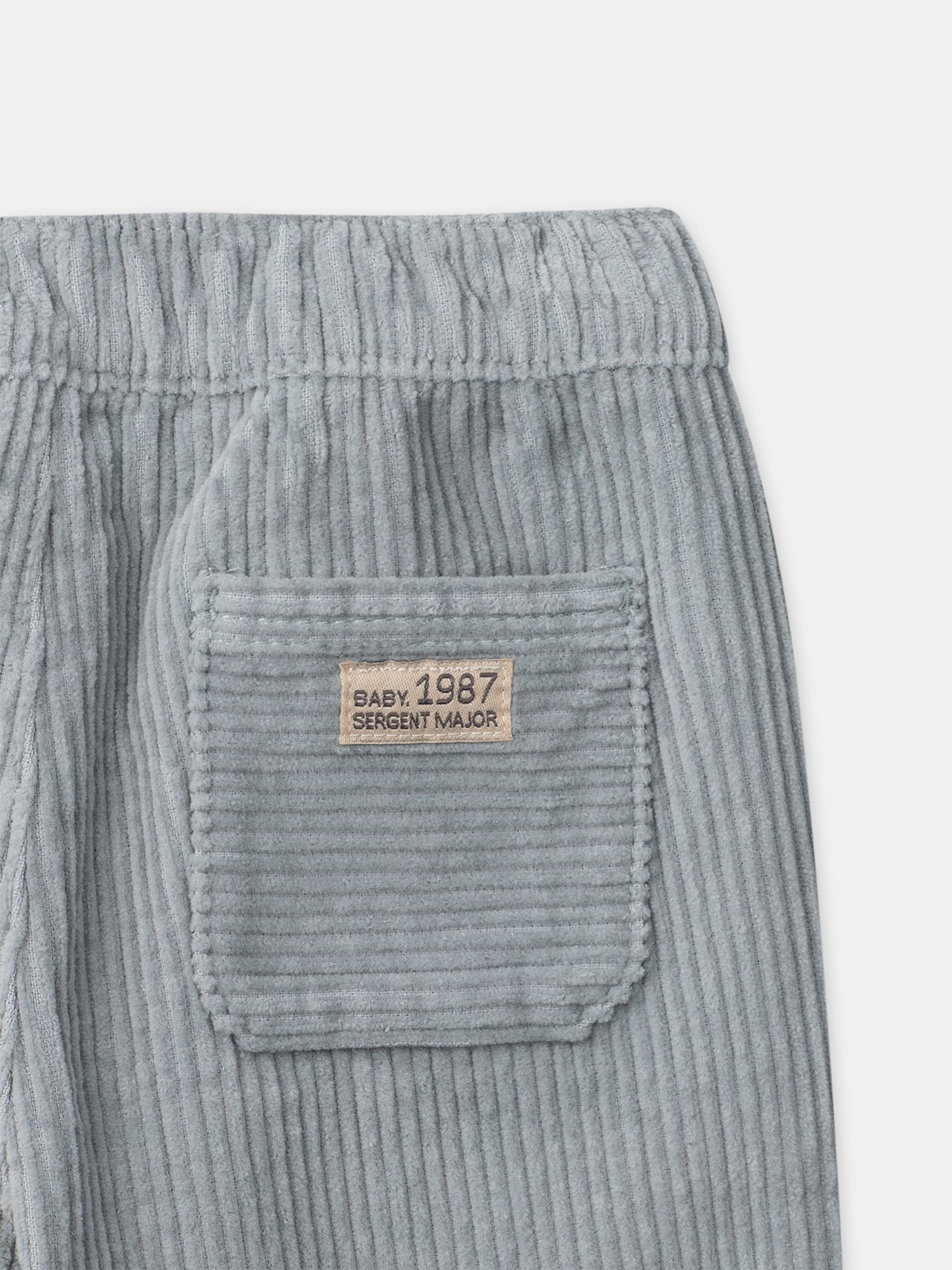 Pantalon bleu grisé en velours Bébé Garçon