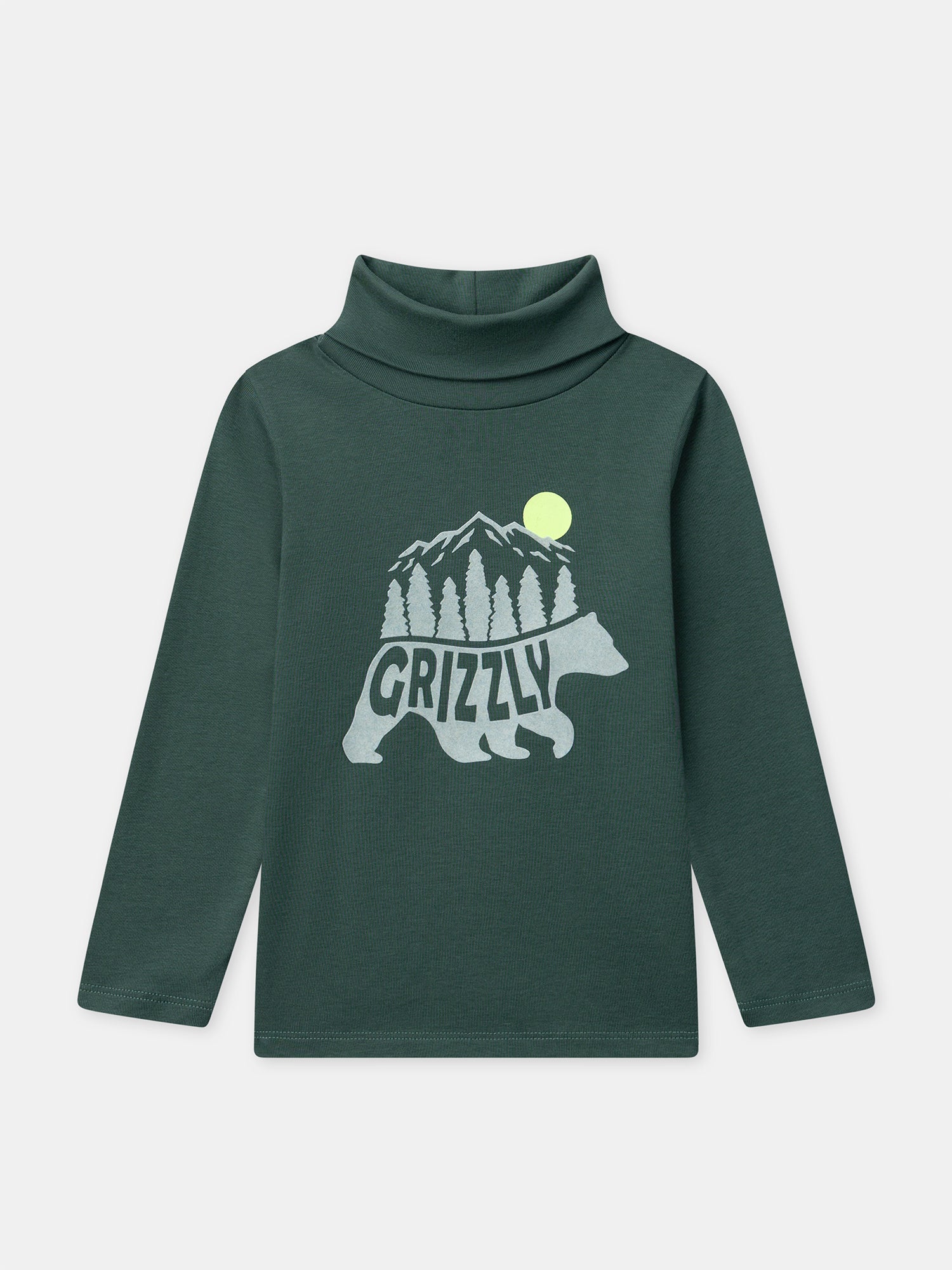 Pull à col roulé vert sapin Garçon