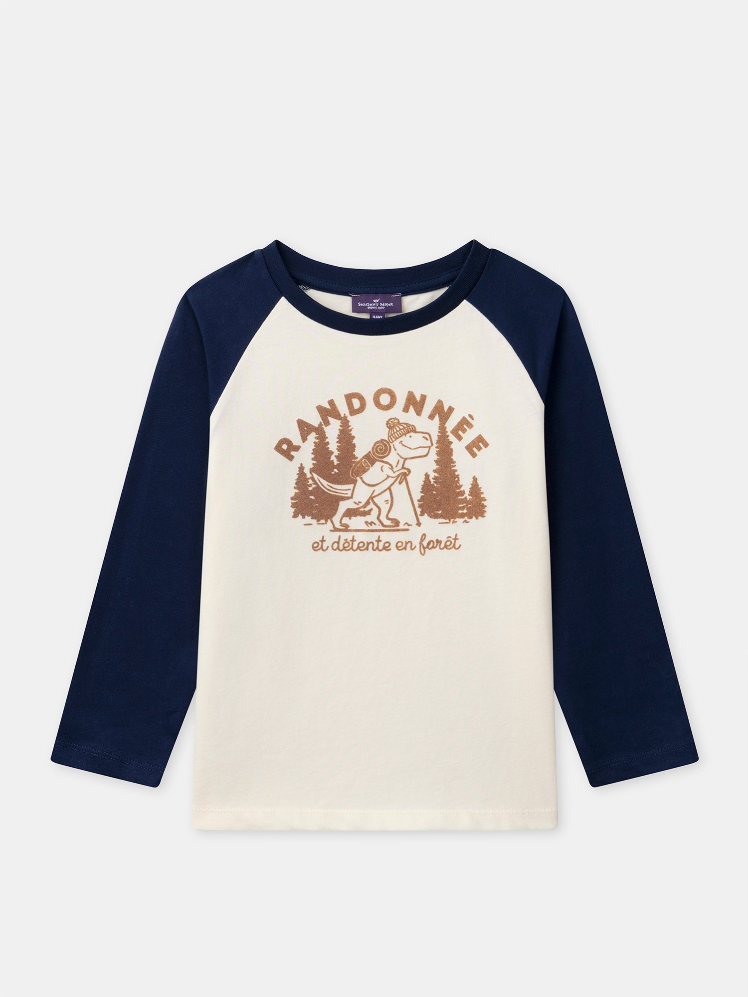 T-shirt bleu et écru imprimé dinosaure à manches longues Garçon