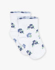 Chaussettes écrues à fleurs bleues FANORALI / 23E4BFN1SOQ001