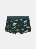 Lot de 3 boxers à rayures, imprimé ou uni Garçon NUIBOXAGE / 25H5PGC1BOX608