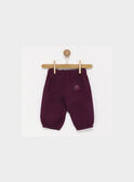 Pantalon violet PALOLA / 18H1BFH1PAN511