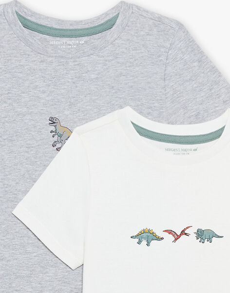 2 T-shirts en coton biologique gris chiné et écrus thème dinosaures FLOTIAGE / 23E5PGH1HLIJ920