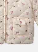 Veste Beige LIMATHILDE / 24H1BF61VES080