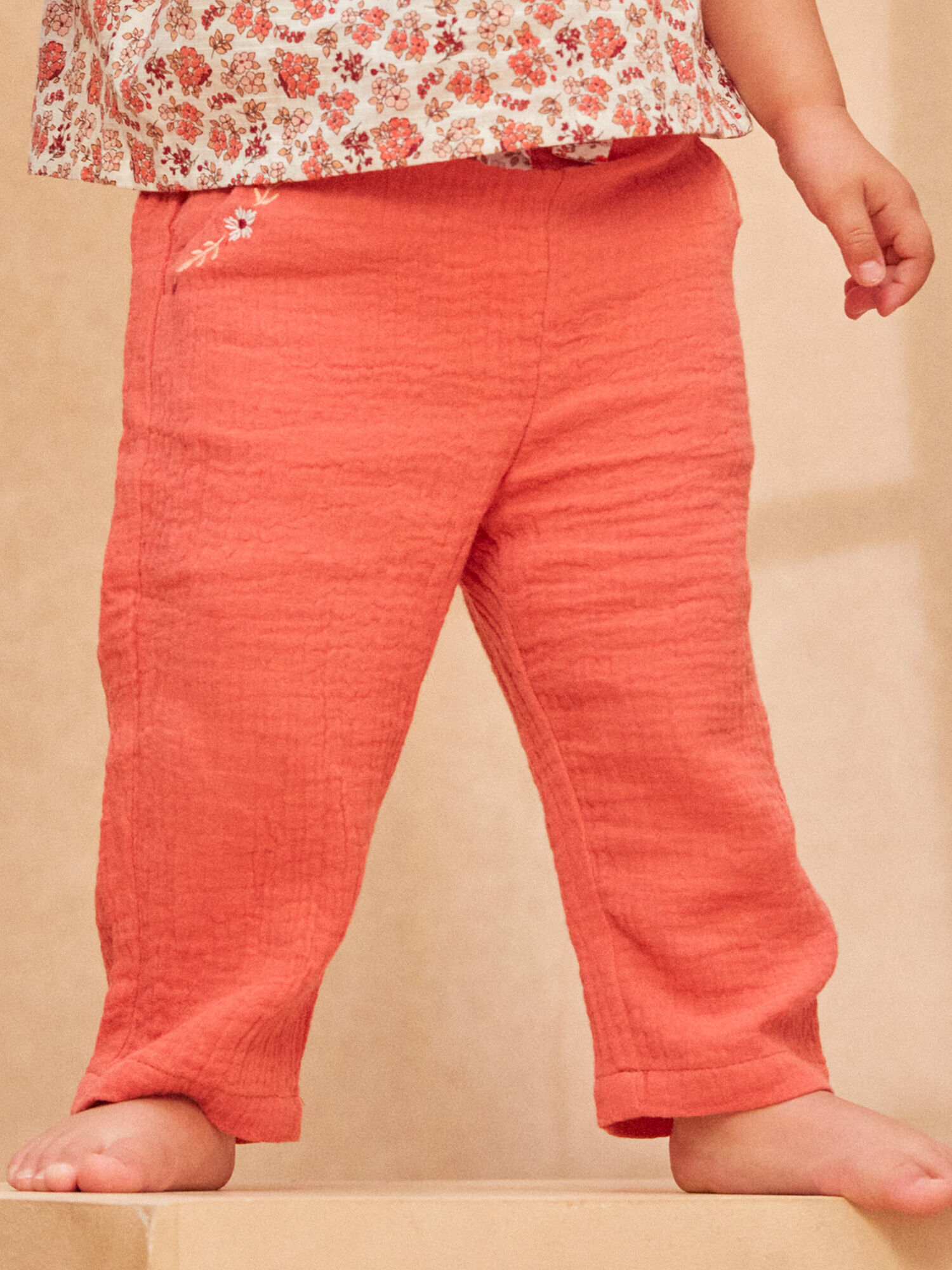Pantalon cache cache nouvelle collection top