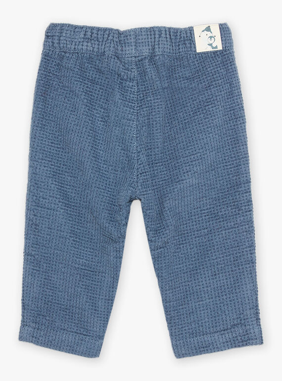 Pantalon en velours côtelé bleu gris DASECTOR / 22H1BGY2PAN205