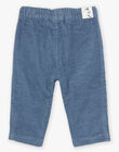 Pantalon en velours côtelé bleu gris DASECTOR / 22H1BGY2PAN205