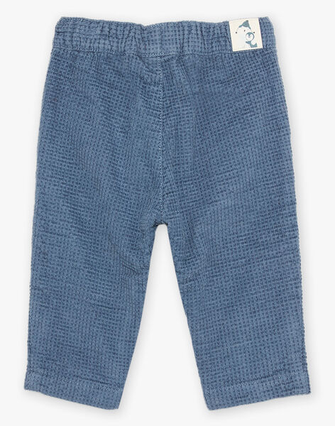 Pantalon en velours côtelé bleu gris DASECTOR / 22H1BGY2PAN205
