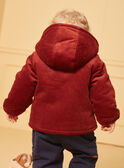 Veste Marron LIPRINCE / 24H1BG71VESI801
