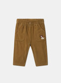 Pantalon en velours côtelé MAAXEL / 25E1BG71PAN812