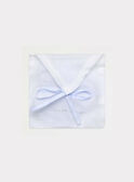 Moufles Bleu ciel NAALDO / 18E0AG41MFN020