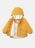 Parka Jaune LIPIERRE / 24H1BG71PARB101