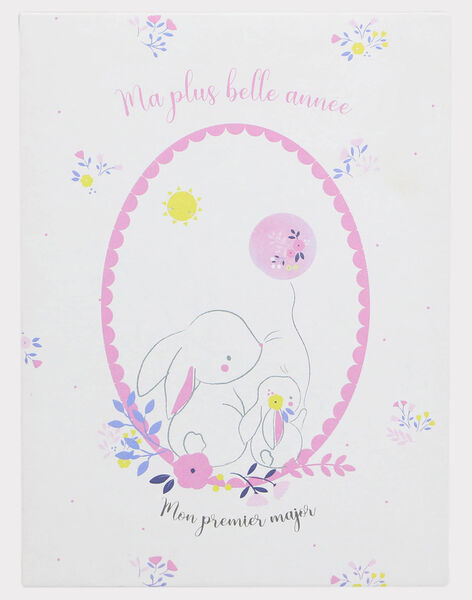 12 Cartes Etapes Premiere Annee Bebe Fille Cadeaux De Naissance Sergentmajor