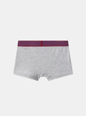 Lot de 3 boxers Camion  en jersey MLIBOXAGE / 25E5PG42BOX201
