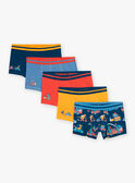 5 boxers bleu, jaune et rouge à imprimé et motif dinoaures GRUMAINAGE / 23H5PG32BOX716