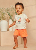 T-shirt en jersey écru et orange à imprimé à rayures et à motifs animaux marins pastels KAYVAN / 24E1BGS1TEEB116