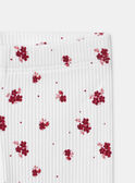 Legging côtéle écru imprimé fleuri Bébé Fille NACORALIE / 25H1BFK1LG080