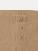 Legging marron clair avec boutons décoratifs Bébé Garçon NADENIS / 25H1BGK1LGA014
