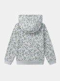 Sweat à capuche zippé vert d'eau MIXVIETTE / 25E2PF51JGHC242