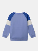 Sweat-shirt Tigre METRAGE / 25E3PG81SWE221