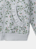 Sweat à capuche zippé vert d'eau MIXVIETTE / 25E2PF51JGHC242