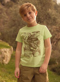 T-shirt Dinosaure MLEDINAGE / 25E3PGO2TMC603