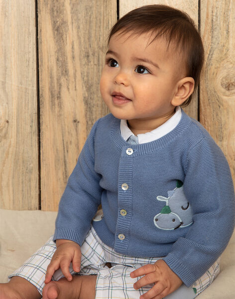 Cardigan Bleu En Tricot Bebe Garcon Collection 0 12 Mois Naissance Sergentmajor