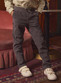 Pantalon Gris en Velours LADURAGE / 24H3PGQ1PANJ909