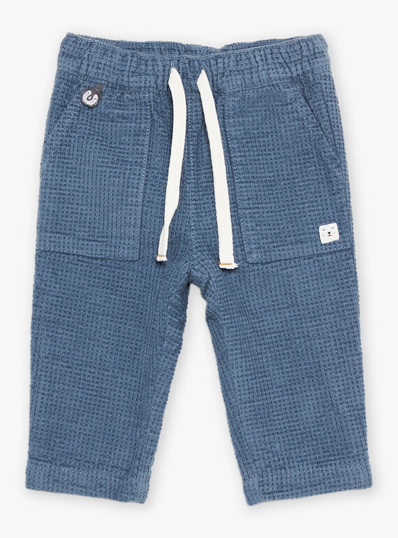Pantalon en velours côtelé bleu gris DASECTOR / 22H1BGY2PAN205