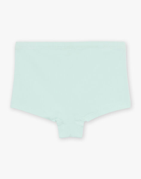 Lot de 5 shortys assortis en coton biologique FLOPYETTE / 23E5PFH2SHY614