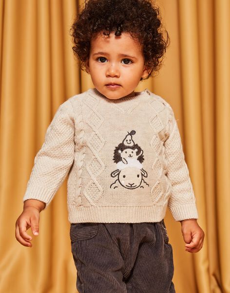 Pull en tricot fantaisie chiné DALUGO / 22H1BGR1PULA011