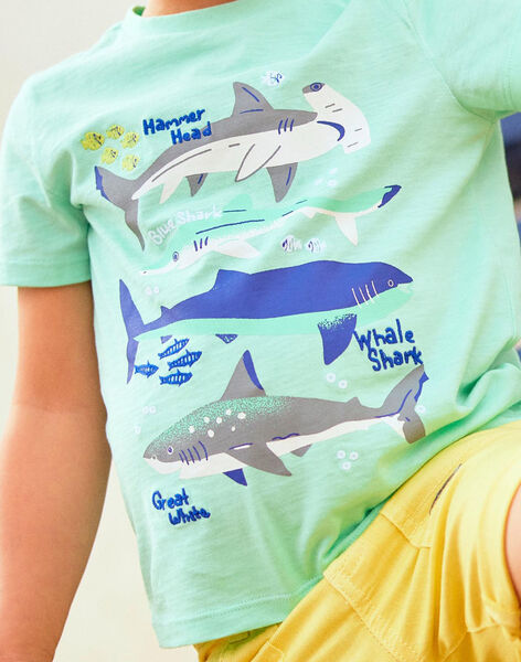 T-shirt bleu turquoise motifs requins enfant garçon COTIFAGE / 22E3PGN1TMC203