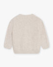 Pull en tricot fantaisie chiné DALUGO / 22H1BGR1PULA011