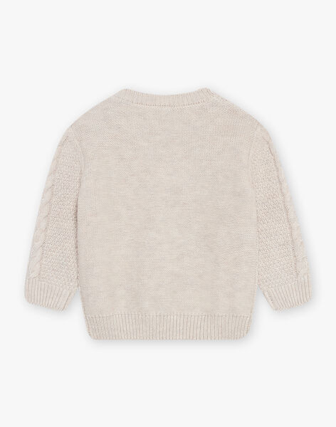 Pull en tricot fantaisie chiné DALUGO / 22H1BGR1PULA011