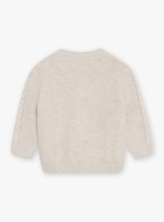Pull en tricot fantaisie chiné DALUGO / 22H1BGR1PULA011