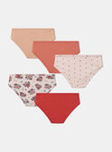 Lot de 5 culottes Fraise MLIVETTE / 25E5PF41SLR301