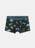 Lot de 3 boxers à rayures, imprimé ou uni Garçon NUIBOXAGE / 25H5PGC1BOX608