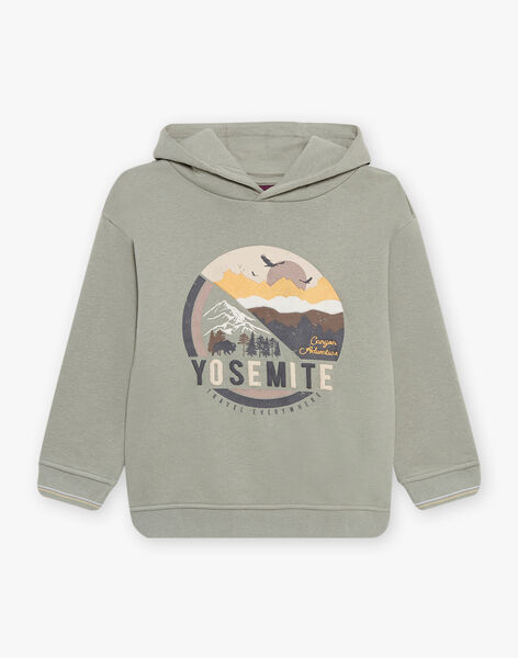 Sweat à capuche en molleton DEMITAGE / 22H3PGR1SWEG606