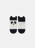 Chaussette jacquard panda  MAYASCO / 25E4BGR1SOB009