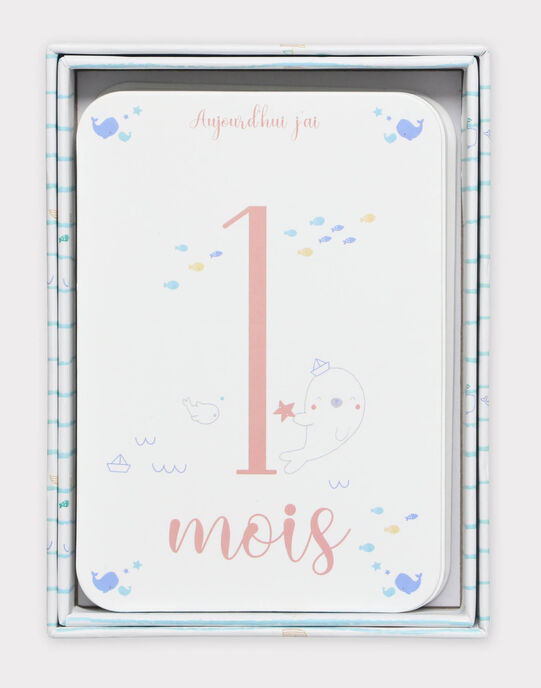 12 Cartes étapes première année bébé garçon : Cadeaux de naissance | SergentMajor