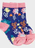 Chaussettes bleu PACHOK / 18H4BF61SOQC214