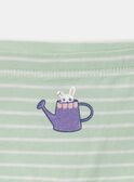 Lot de 5 boxers Lapin en jersey MLIPETTE / 25E5PF41SHYA016