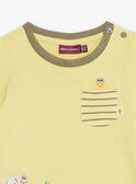 T-shirt anis bébé garçon CACELIN / 22E1BGB1TML116