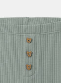 Legging côtelé MAILONA / 25E1BF91LGG600