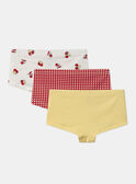 Lot de 3 boxers Oiseaux MLIBOETTE / 25E5PF42SHY114