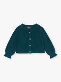 Cardigan vert émeraude en tricot fantaisie GACAMILLE / 23H1BF82CAR608