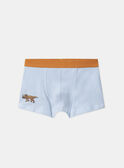 Lot de 5 boxers Dino  en jersey MLIMAINAGE / 25E5PG41BOX626