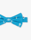Nud papillon bleu azur en satin fantaisie FREPAPAGE / 23E4PGI1NOEC218