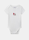 Lot de 3 bodies bébé fille à manches courtes en coton issu de l'agriculture biologique MEJULIA / 25E5BF42BDL001